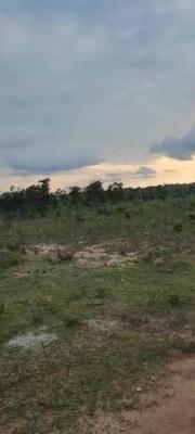 Land Measuring 66.82ha Fully Tarred Road with Solar Lights, Idu Industrial, Abuja, Mixed-use Land for Sale