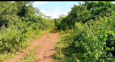 6 Plots of Land for Farming and Residential, Milebrook Farm City, Obafemi Owode, Ogun, Mixed-use Land for Sale