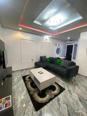 Luxury 1 Bedroom Apartment, Akowonjo, Egbeda, Alimosho, Lagos, Flat / Apartment Short Let