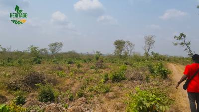 Own a Farm Land and Build Wealth,  Heritage Farm City, Funaab Alabata Road, Abeokuta South, Ogun, Mixed-use Land for Sale