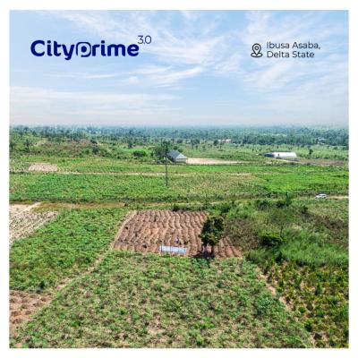 Land with Registered Survey and Deed of Assignment, City Prime 3.0 Ibusa, Asaba, Delta, Residential Land for Sale