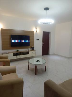 Diplomatic 3 Bedrooms Furnished Fully Service Apartment Blocks of Flat, Zone 6, Wuse, Abuja, House for Rent