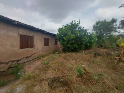 Strategic 30 Acres of Farm Land Near the Road — Ibadan, Oyo