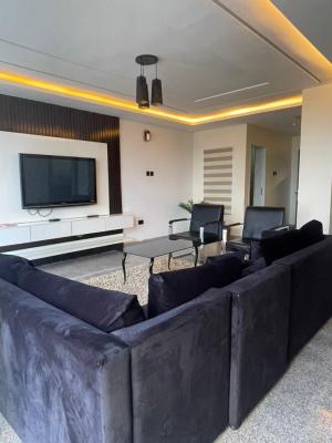 Exquisitely Finished 2 Bedroom Maisonette, Asokoro District, Abuja, Flat / Apartment for Rent