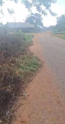 180 By 100 Feet Plot on a Tarred Road, Ulemon, Airport Road, Benin, Oredo, Edo, Land for Sale