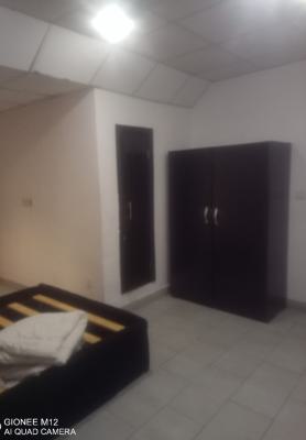 Service 1 Room Self-contained Apartment, Off Sinari Daranijo Street, Victoria Island (vi), Lagos, Self Contain (single Rooms) for Rent