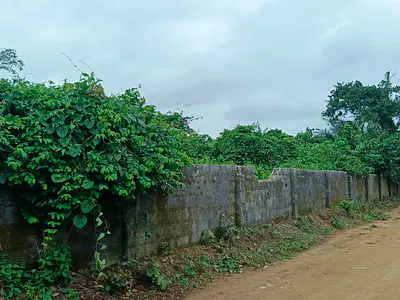 Bareland — Epe, Lagos