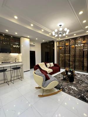 Luxury 1 Bedroom with a Bathtub, Chevron, Lekki, Lagos, Flat / Apartment Short Let