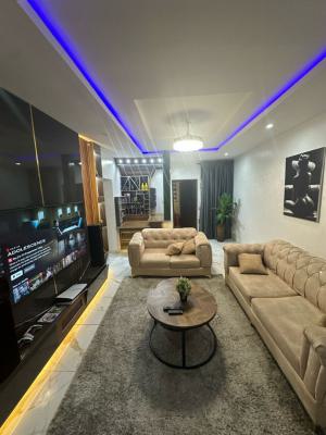 Beautifully Furnished 2 Bedroom Apartment, Ikate, Lekki, Lagos, Flat / Apartment for Rent