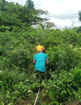 Acres/ Hecters of Land, Olorunda/alamala Area, Abeokuta North, Ogun, Mixed-use Land for Sale