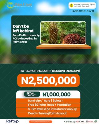 15 Plots of Land ( 70 Palm Trees ), Abeokuta South, Ogun, Commercial Land for Sale