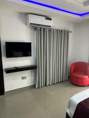 a Standard Fully Serviced and Furnished 1 Bedroom Apartment (mini Flat), Victoria Island (vi), Lagos, Mini Flat (room and Parlour) for Rent