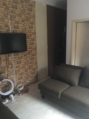 Mini Flat, Off Omorinre Johnson, Lekki Phase 1, Lekki, Lagos, Mini Flat (room and Parlour) for Rent