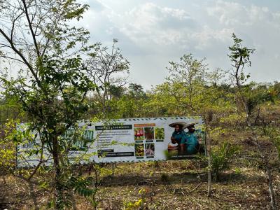 Promo!!! Affordable Farm Land with High Returns on Investment, Off Funaab Alabata Road, Abeokuta North, Ogun, Land for Sale