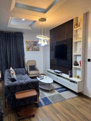 Beautifully Furnished One Bedroom Studio Apartment, Osapa London, Osapa, Lekki, Lagos, Self Contain (single Rooms) for Rent