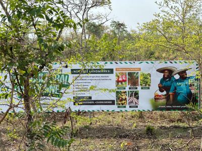 Promo!!! Get Paid on Your Agricultural Plots Without Farming, Off Funaab Alabata Road, Abeokuta North, Ogun, Land for Sale