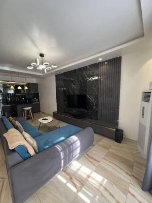 Beautifully Fully Furnished Room and Parlour, Ikate, Lekki, Lagos, Mini Flat (room and Parlour) for Rent