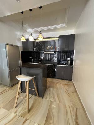 a Very Big Room and Parlor, Ikate, Lekki Phase 2, Lekki, Lagos, Detached Duplex for Rent