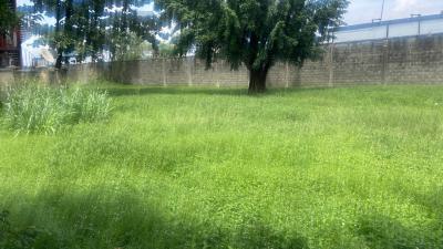 Land Measuring 4000sqm, Kofo Abayomi, Victoria Island (vi), Lagos, Mixed-use Land for Sale
