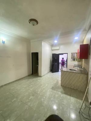 Luxury Serviced Mini-flat Apartment, Bakare Estate, Also Accessible Through Bera Estate, Jakande, Platinum, Jakande, Lekki, Lagos, Mini Flat (room and Parlour) for Rent