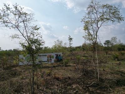 The Best Agribusiness Investment, Abeokuta North, Ogun, Land for Sale