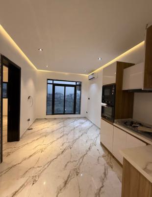Newly Built One Bedroom Apartment, Ikate Elegushi, Lekki, Lagos, Flat / Apartment for Rent