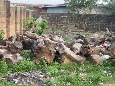 a Plot & Quarter Piece of Land, Nnpc Pipeline Cele Bus-stop, Apata, Ibadan, Oyo, Residential Land for Sale