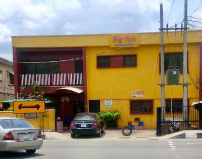 Very Sweet Solid 2 Number of 4 Bedroom Flat with 2 Number Bq, Off Bode Thomas Road, Surulere, Lagos, Block of Flats for Sale