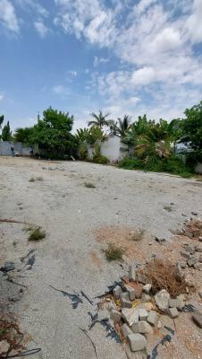 Strategic 1000 Sqm Residential Plot in a Serene Neighborhood, Serene Neighborhood, Asokoro District, Abuja, Residential Land for Sale