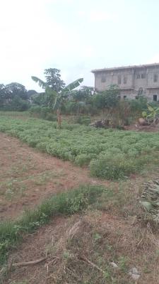 525m2 of Land, Post Service Estate, Ojo, Lagos, Residential Land for Sale