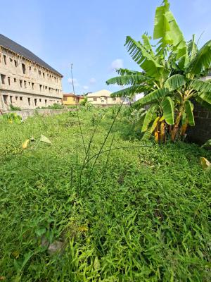Dry Full Plot Inside Greenfield Estate, Greenfield Estate, Ago Palace, Isolo, Lagos, Residential Land for Sale