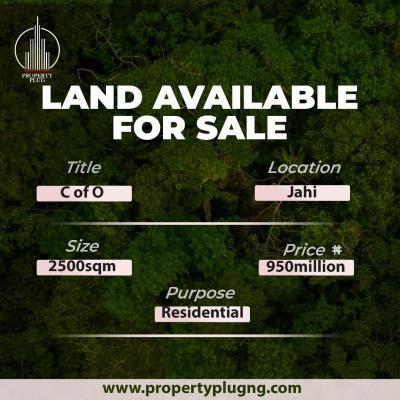 2500 Sqm Available for Quick Deal, Jahi, Abuja, Residential Land for Sale