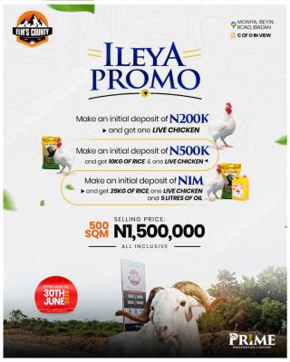 Cheap Land with Good Title, Elms County Estate Directly Facing The Express, Moniya, Ibadan, Oyo, Mixed-use Land for Sale