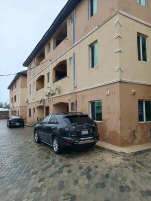 Two Bedroom Apartment, Ikota, Ikota, Lekki, Lagos, Flat / Apartment for Rent