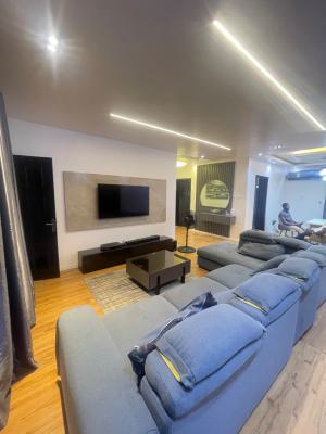 Furnished Three Bedroom Apartment, Lekki Phase 1, Lekki, Lagos, Flat / Apartment for Sale
