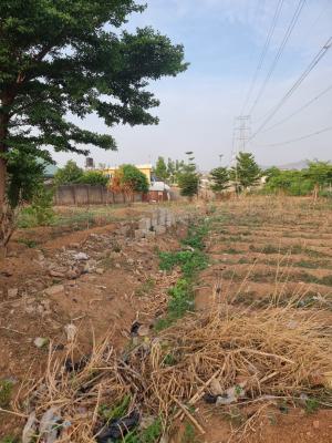 1,350m² of Residential Land in a Developed Area, Arab Road, Kubwa, Abuja, Residential Land for Sale