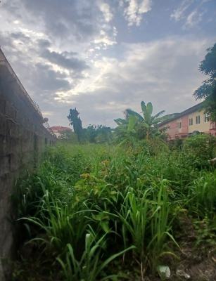 Fenced & Gated Bare Land Measuring 900sqm, Maryland, Lagos, Residential Land for Sale