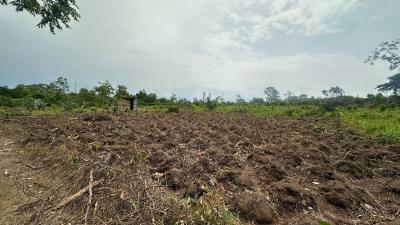 Now, You Too Can Make a Lot of Money From Agriculture, Off Funnab Abeokuta Alabata, Abeokuta South, Ogun, Mixed-use Land for Sale