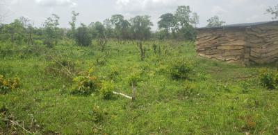 Most Affordable Fertile Farm Land with a Promo Offer, Off Funaab, Alabata Road, Odeda, Ogun, Mixed-use Land for Sale