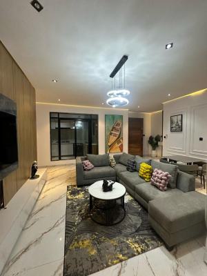 Elegantly Furnished 2 Bedroom Apartment, Ikate, Lekki, Lagos, Flat / Apartment for Sale