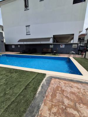 Fully Furnished 2 Bedroom Apartment, Ikate, Lekki, Lagos, Flat / Apartment for Rent