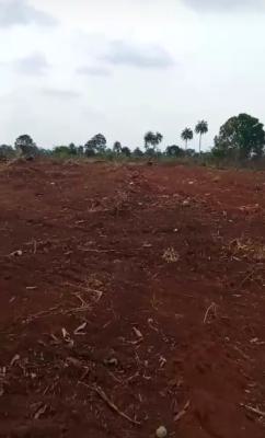 Govt Approved  Estate in Good Location, Green Haven Heights Estate Ubuluokiti Off Benin Asaba Express Road, Asaba, Delta, Mixed-use Land for Sale