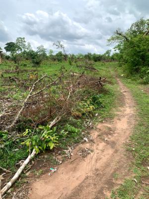 Secured Agricultural Land in Abeokuta, Abeokuta, Abeokuta North, Ogun, Mixed-use Land for Sale
