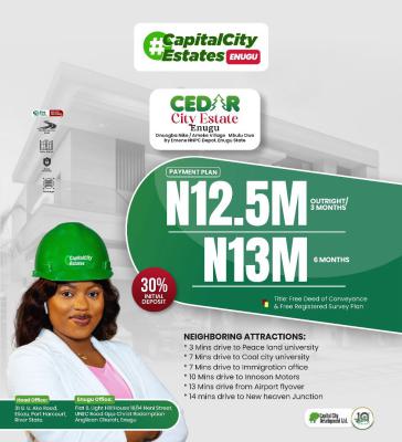 Land with Registered Survey and Deed of Assignment, Cedar City Onuogba Nike/ameke Village, Mbulu Owo, By Emene Nnpc Depot, Enugu, Enugu, Residential Land for Sale