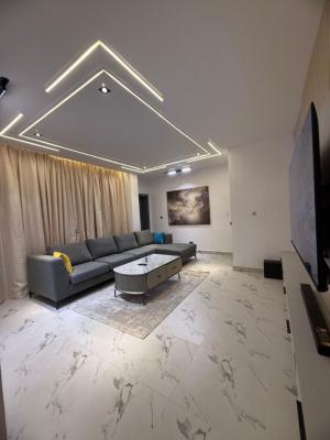 Fully Furnished & Serviced 3 Bedroom Apartment + Bq, Elevator, Ikate Elegushi, Lekki, Lagos, Flat / Apartment for Rent