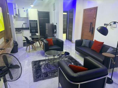 2 Bedroom Flat, Hon Saheed Bankole Street, Ologolo, Lekki, Lagos, Mini Flat (room and Parlour) Short Let