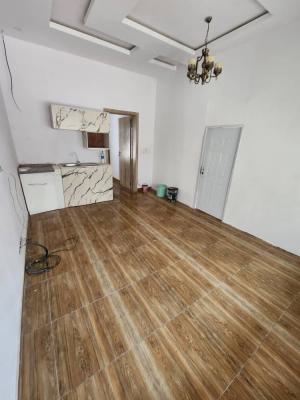 Well Renovated Mini Flat Available, Orchid Road, Lekki Expressway, Lekki, Lagos, Mini Flat (room and Parlour) for Rent