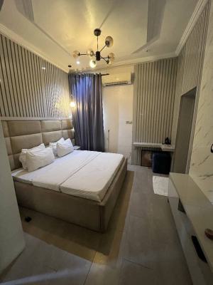 Luxury 1bedroom, Ikate, Lekki, Lagos, House for Rent