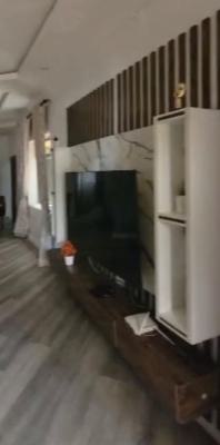 a Standard, Unique 2 Bedroom Flat, Lekki Phase 1, Lekki, Lagos, Flat / Apartment for Rent