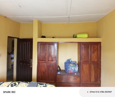 Luxury Mini Flat, Unilag Estate, Magodo, Lagos, Mini Flat (room and Parlour) for Rent
